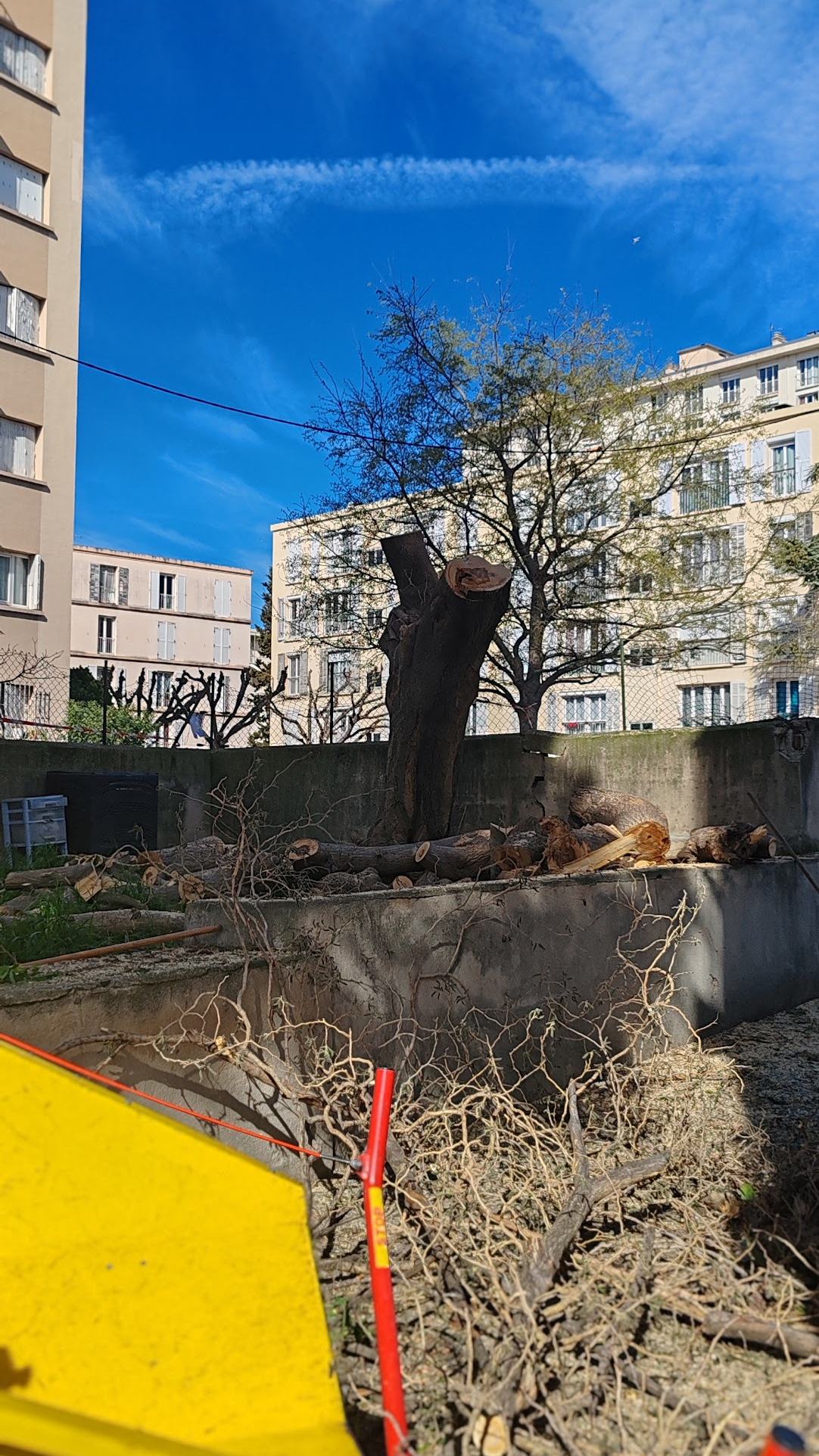 Tronc coupé et broyeur jaune dans la cour, immeubles au fond